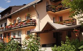Apartments Mencinger