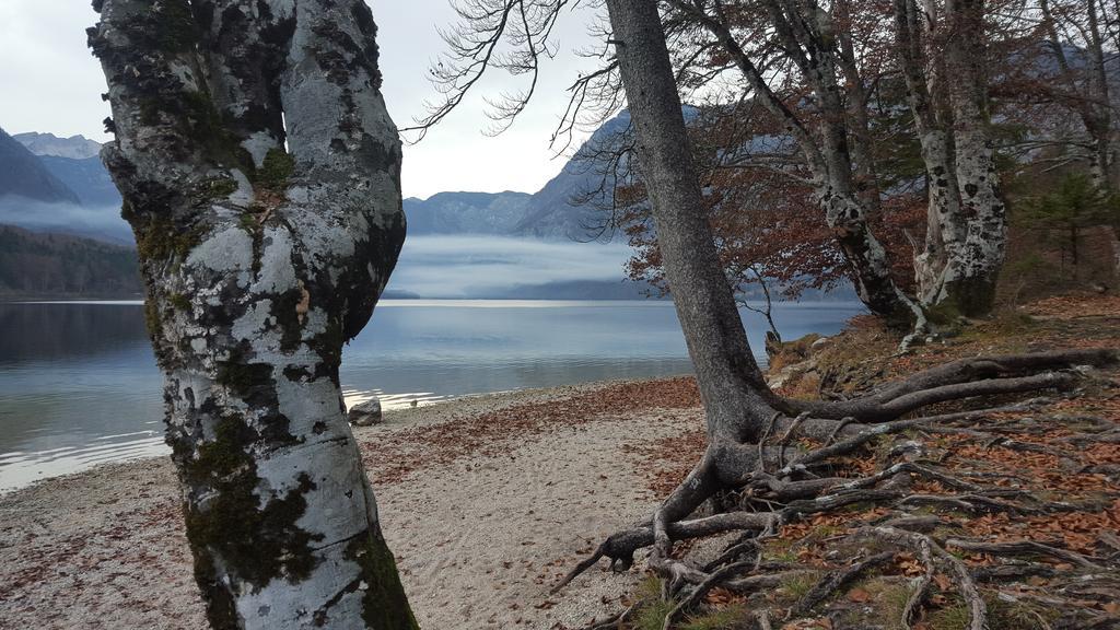 Apartments Mencinger Bohinji-tó Kültér fotó