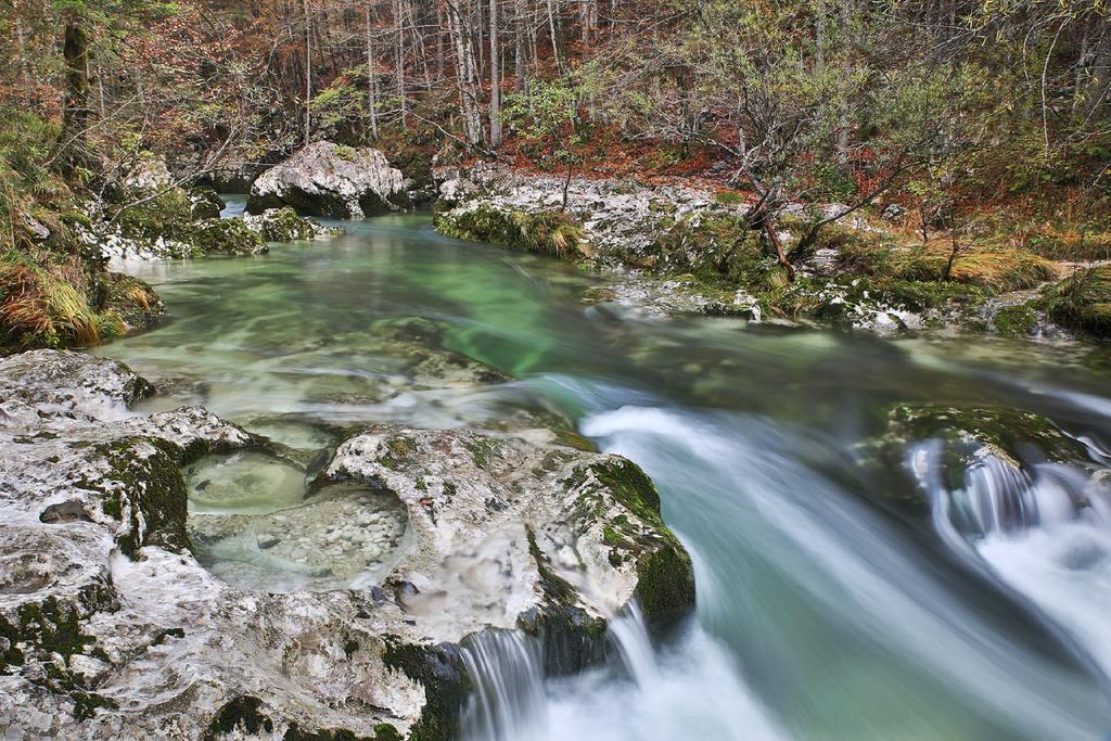 Apartments Mencinger Bohinji-tó Kültér fotó